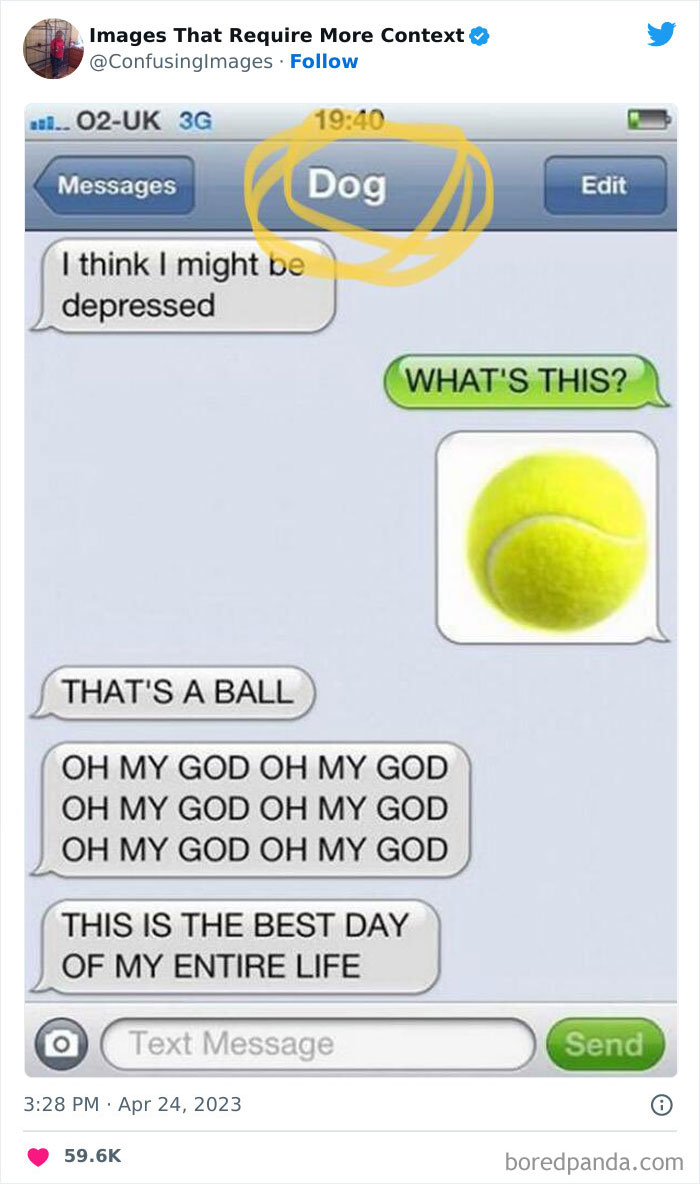 Weird-Images-Require-More-Context