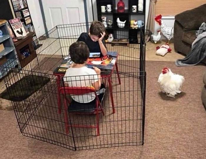 50 Unhinged Pics That Are As Confusing As They Are Amusing (New Pics)