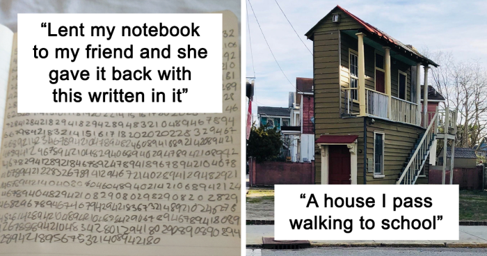 This Online Group Is Dedicated To The Weirdest Pics Out There (45 Pics)