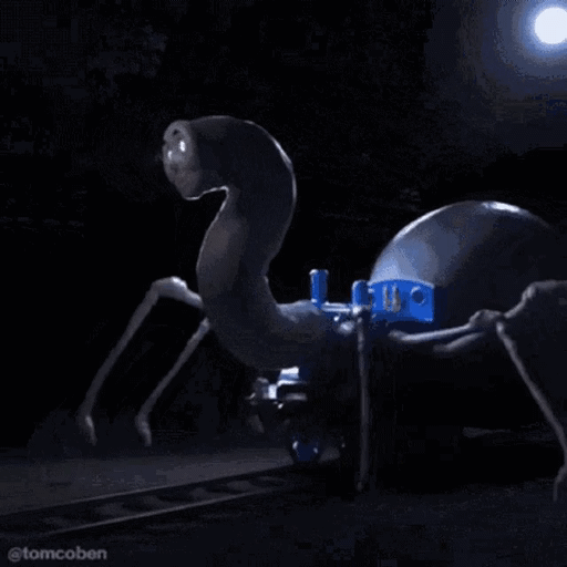 Whats A Random Funny Photo On Your Device?