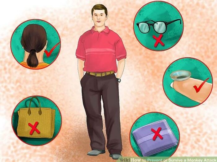 How To Prevent A Monkey Attack