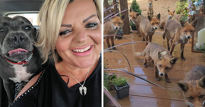 25 Years Ago, This Woman Began Feeding A Family Of Foxes, And Their Offspring Come To Her To This Day