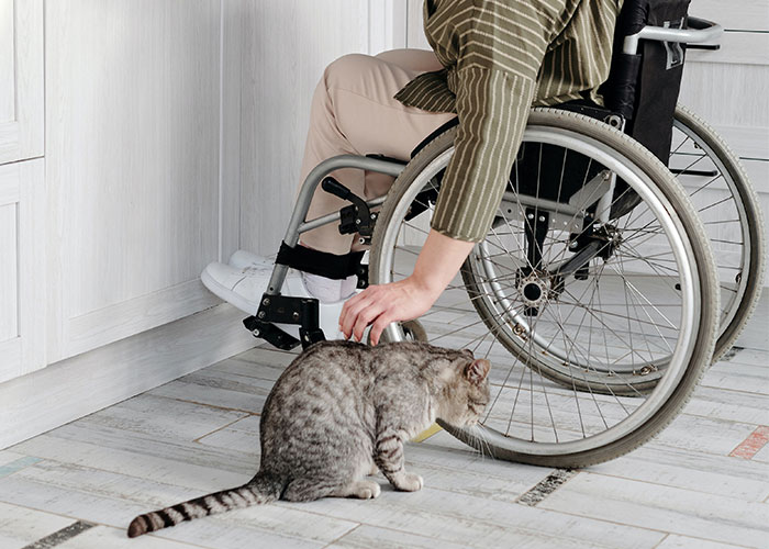 “I Just Need You Out Of The Chair”: Entitled Mother Harasses A Traveler In A Wheelchair “I Just Need You Out Of The Chair”: Entitled Mother Harasses A Traveler In A Wheelchair