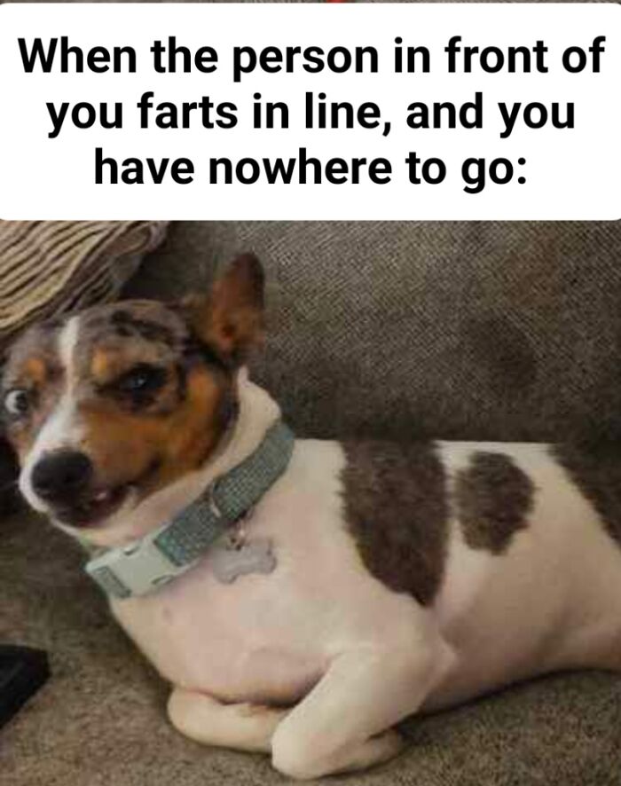 It Was So Funny I Had To Make It Into A Meme