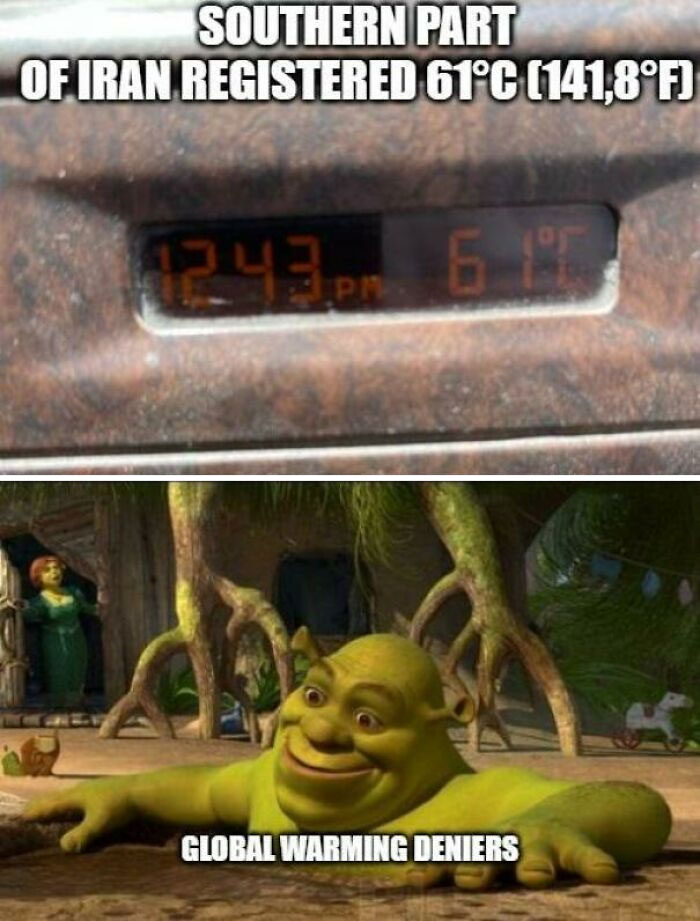 Shrek Is Shocked