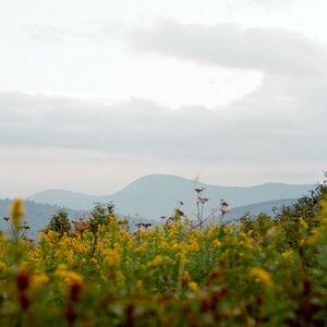 tayloretorbert avatar