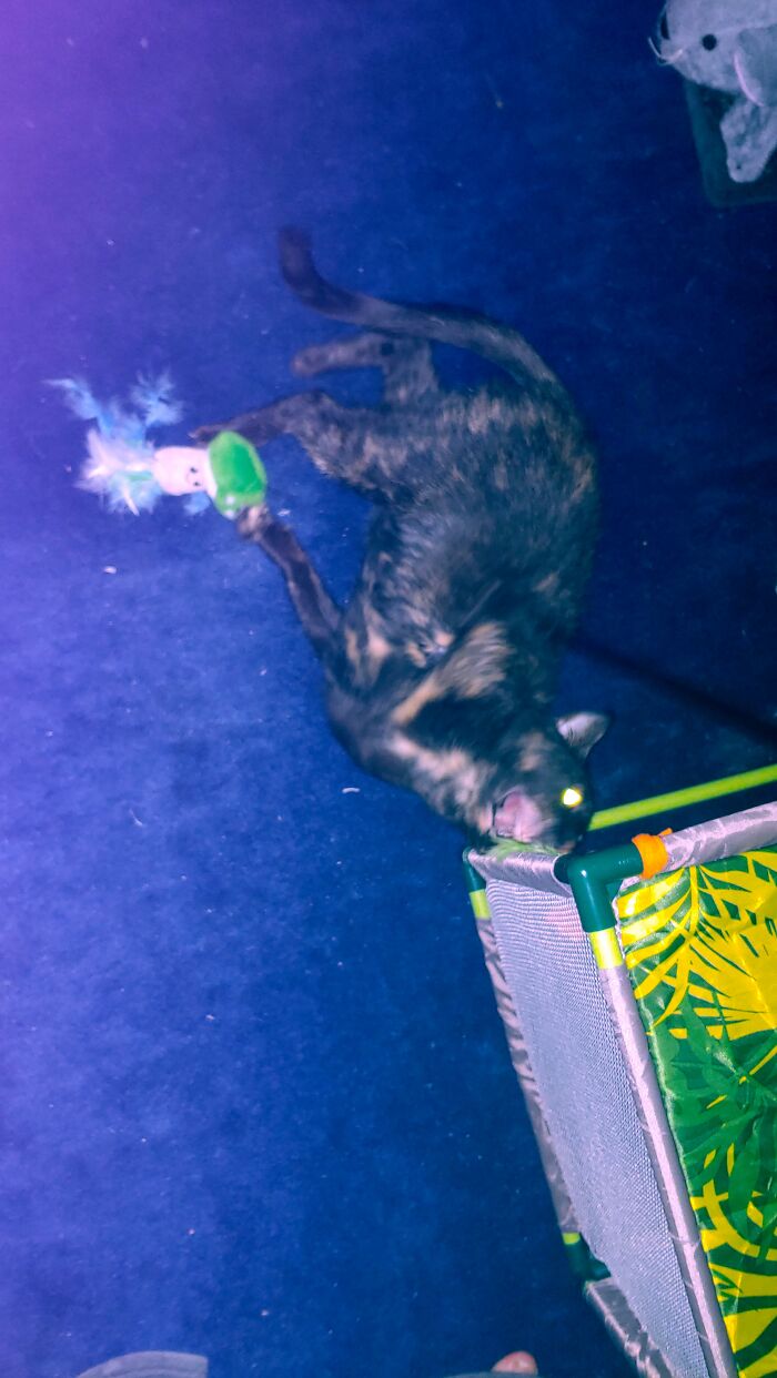 Her Battle With The Toy Mushroom Brought Out Her Demon