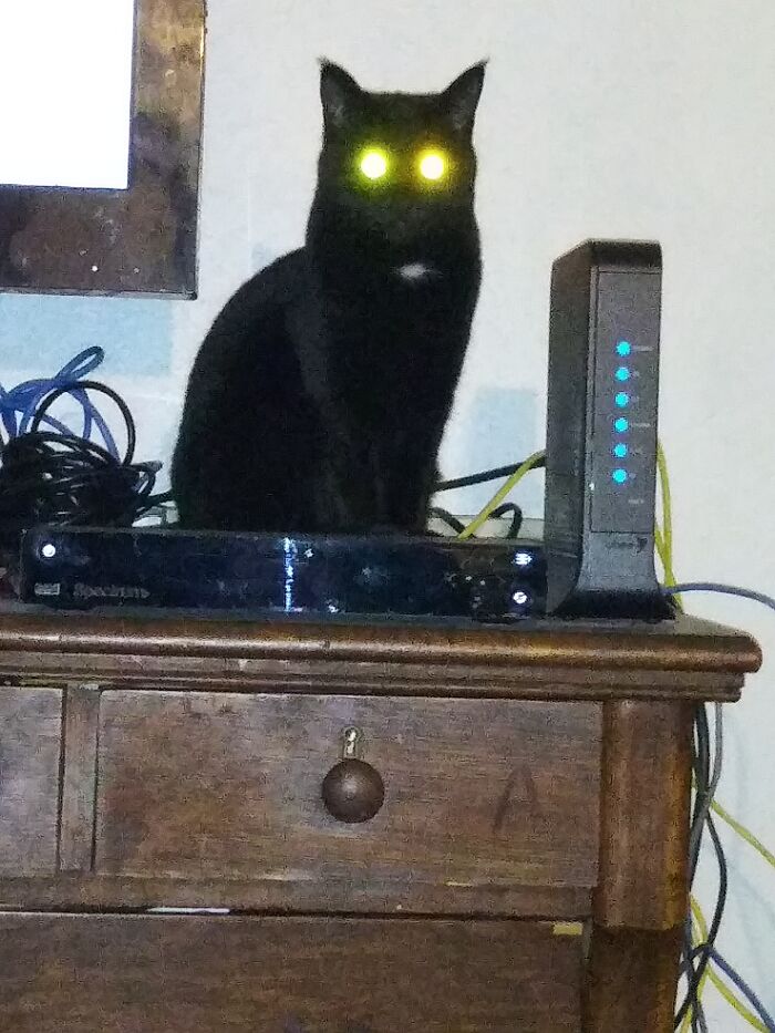 Remy Is Fully Charged And Ready For Use