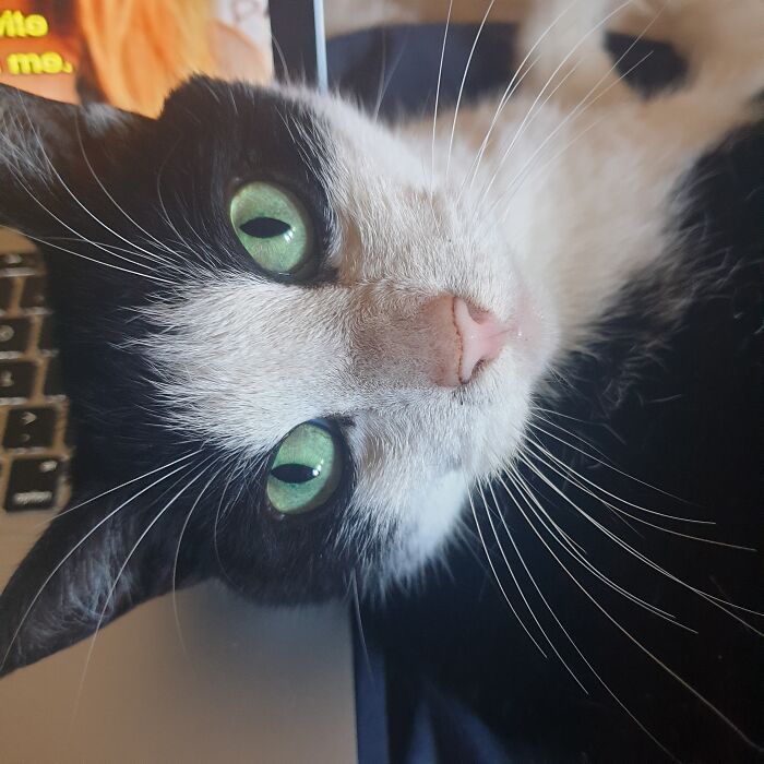 This Is Titan, Also Known As, Mr Woo And Little Face