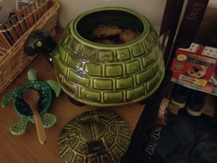 My Tortoise Cookie Jar