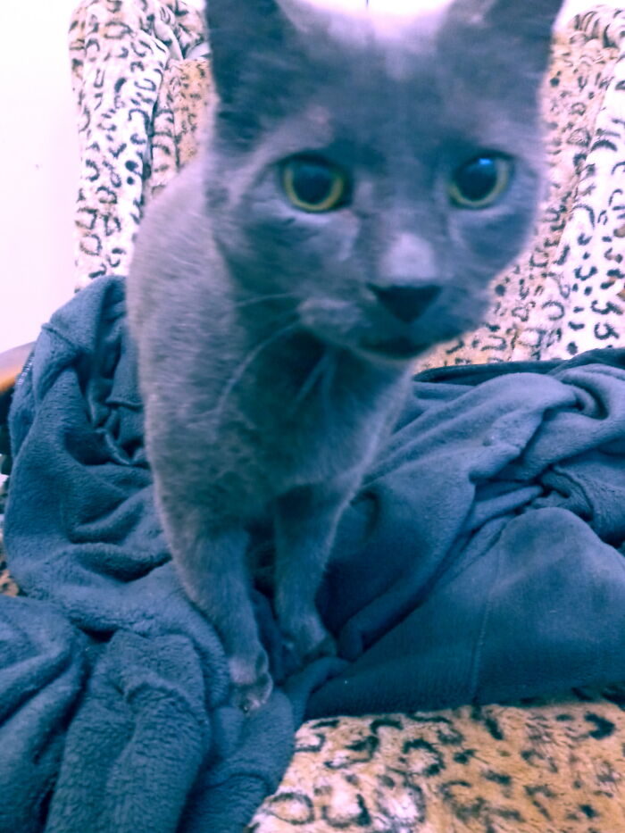 Knuckles Being Nosey