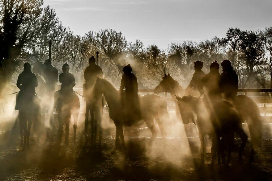 Equestrian - Category Winner, Bronze: "Morning Mist" By Morgan Treacy