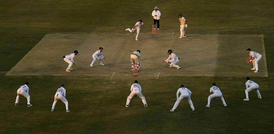 Cricket - Category Winner, Gold: "Surrounded" By Philip Brown