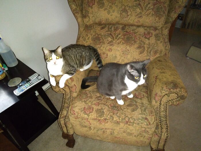 Marvin & Angela. Marvin@15 Mon. Angela @ 11yrs. We're Working On It