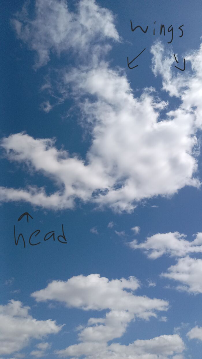 Dragon Of The Clouds