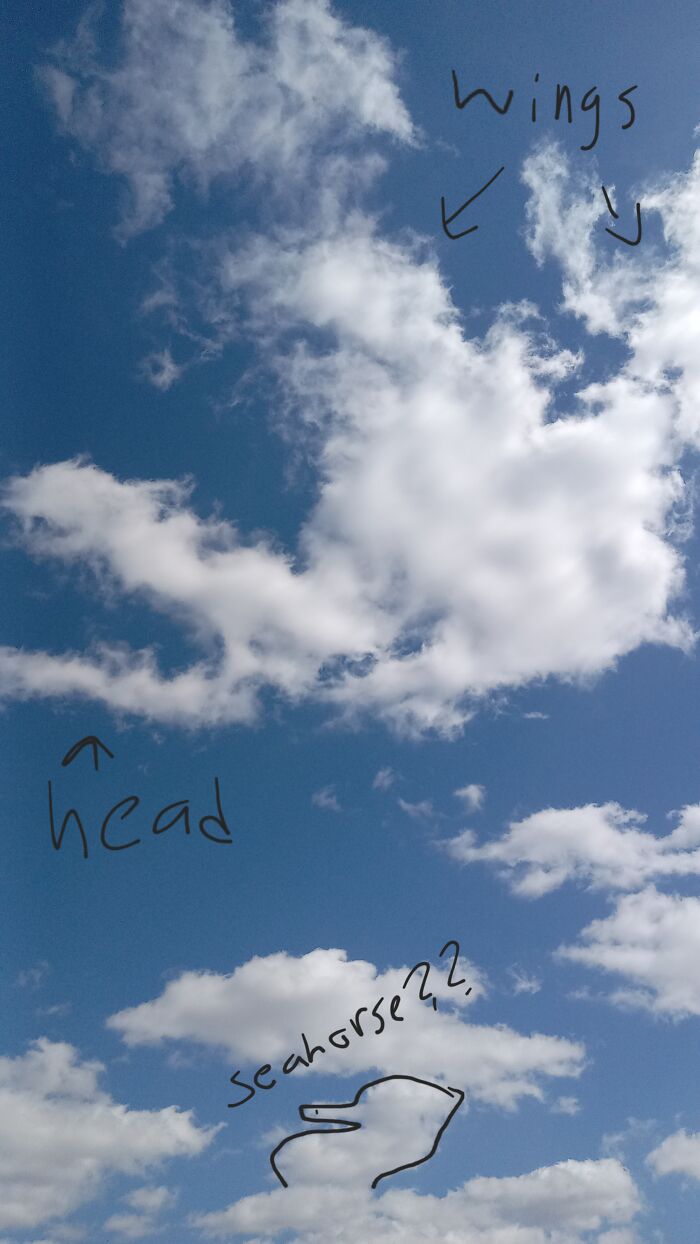 Dragon Of The Clouds (With His Seahorse Companion)