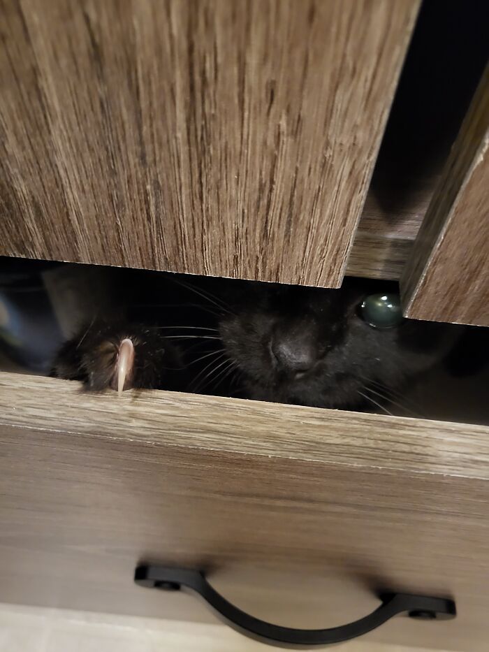 Always Check For Drawer Monsters