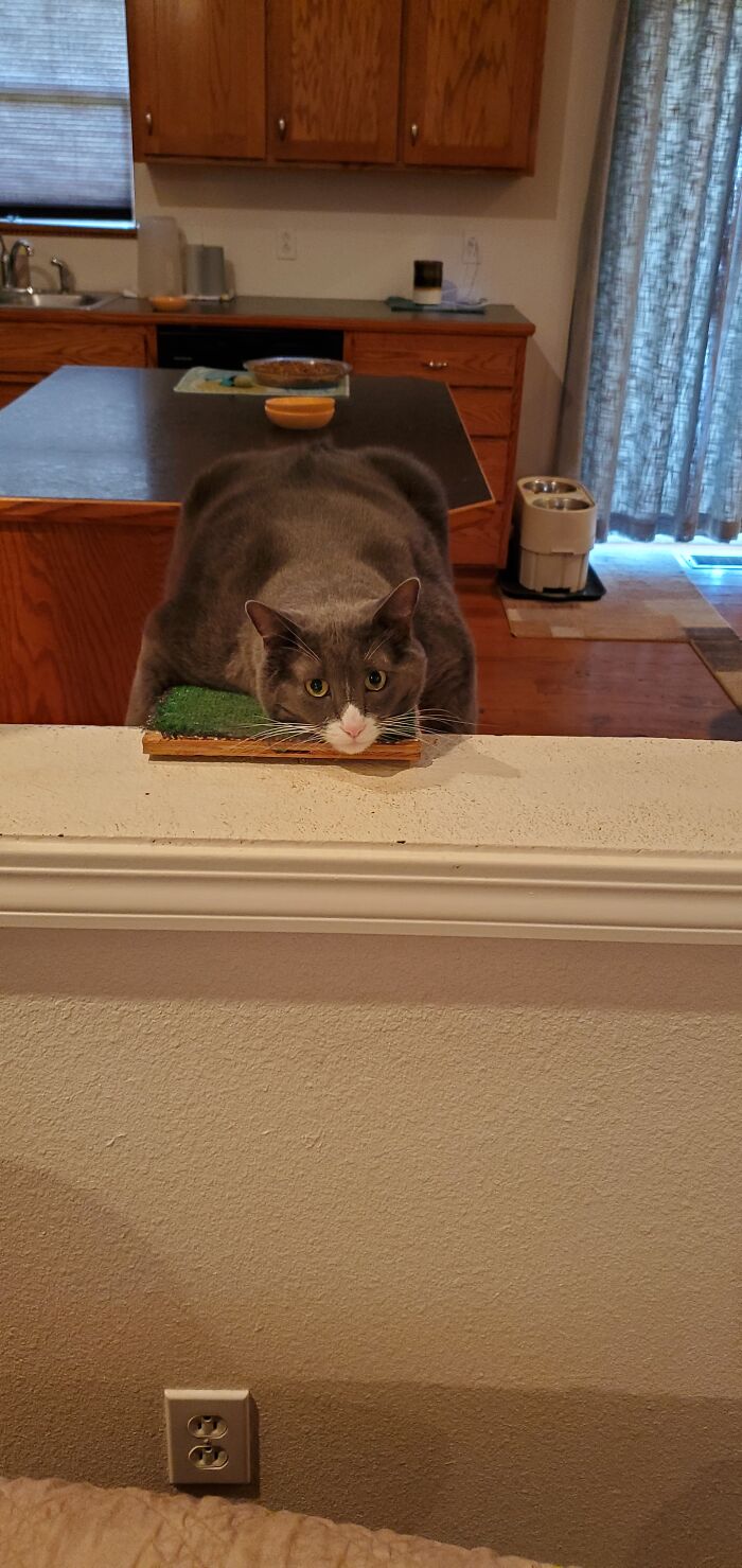 He's Not Black But Bubby Is Our Big Boy