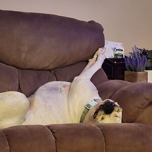 jessicahughett avatar