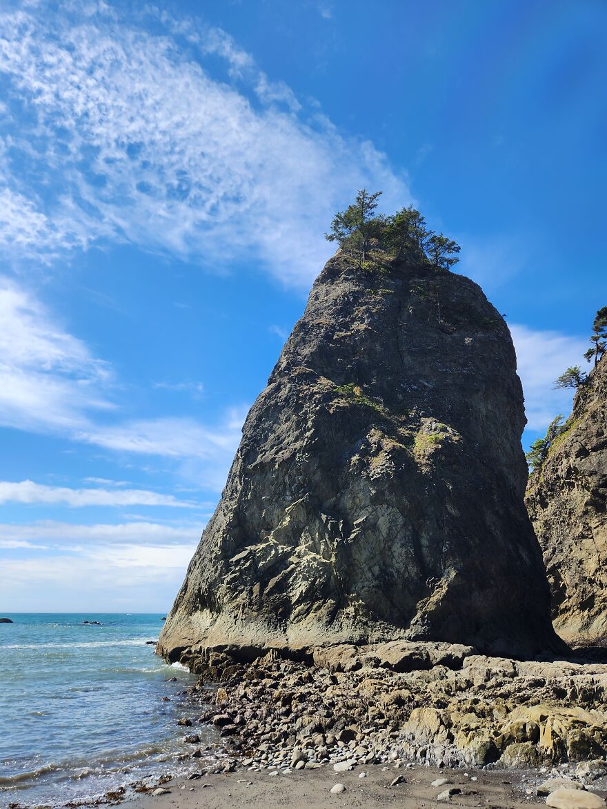 Rialto Beach/Pnw Beaches