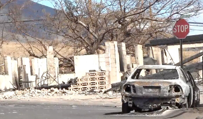 Hope Among Ashes As Maui Community Unites In Helping Wildlife Impacted By Fire Hope Among Ashes As Maui Community Unites In Helping Wildlife Impacted By Fire