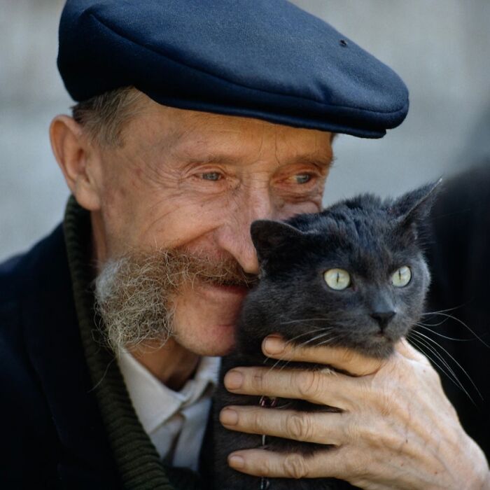 New Of The Best Photos Shared By This Twitter Account That Collects Historic Photographs Of Cats With Their Stories