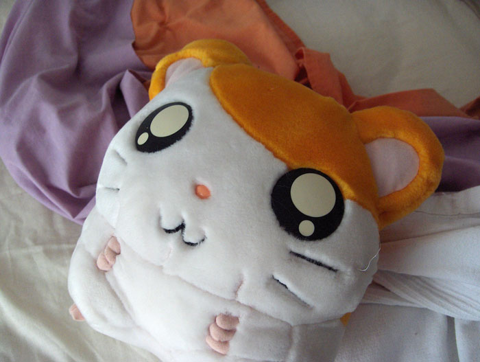 Parent Won’t Make Son Change Hamster's Name Which SIL Wants For Her Child, She Absolutely “Blows Up” Parent Won’t Make Son Change Hamster's Name Which SIL Wants For Her Child, She Absolutely “Blows Up”