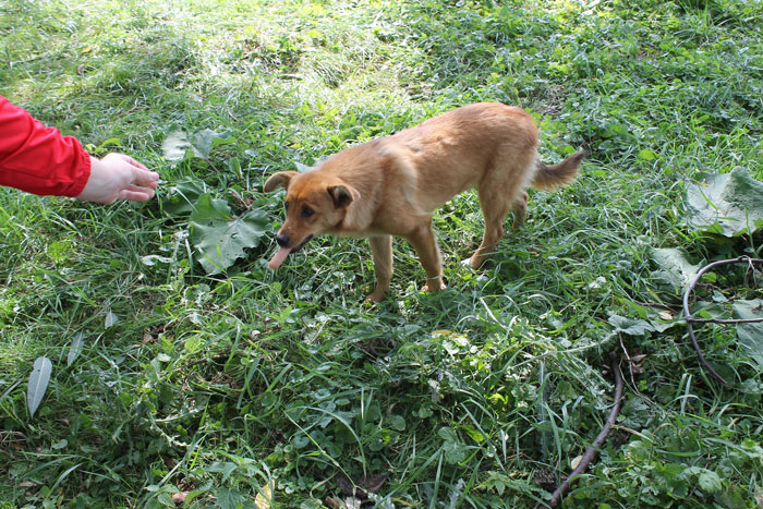 "Neighbor Doesn't Like Me Using My Own Garden" "Neighbor Doesn't Like Me Using My Own Garden"
