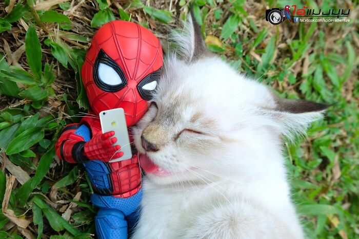 Artist Puts Baby Spider-Man And Animals In The Funniest Scenes (50 New Pics)