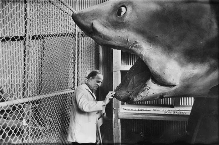 Ingmar Bergman On The Set Of Jaws