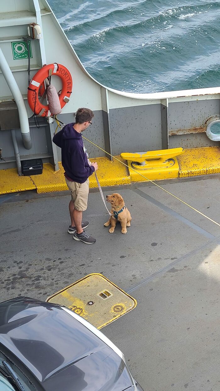 Baby's First Ferry Ride 😍 Bonus Photo In Comments