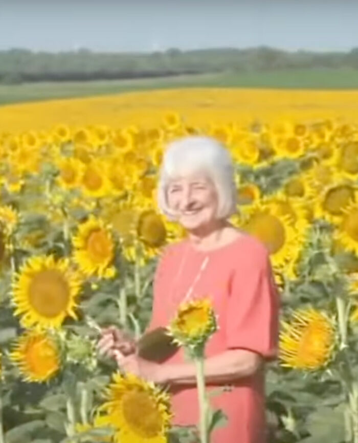 “It Made Me Feel Very Special”: Man Surprises Wife Of 50 Years With A Field Of 1.2M Sunflowers