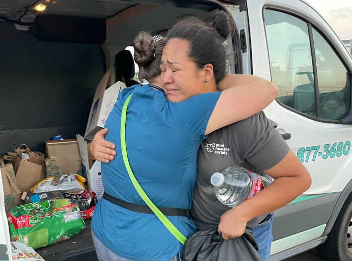 Hope Among Ashes As Maui Community Unites In Helping Wildlife Impacted By Fire Hope Among Ashes As Maui Community Unites In Helping Wildlife Impacted By Fire