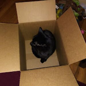 pamelavanblaricum avatar