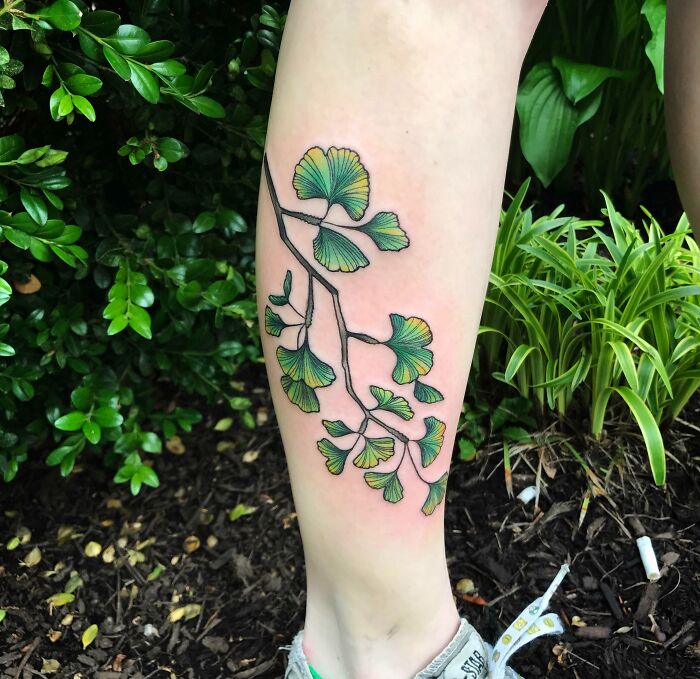 Branch of the gingko tree tattoo