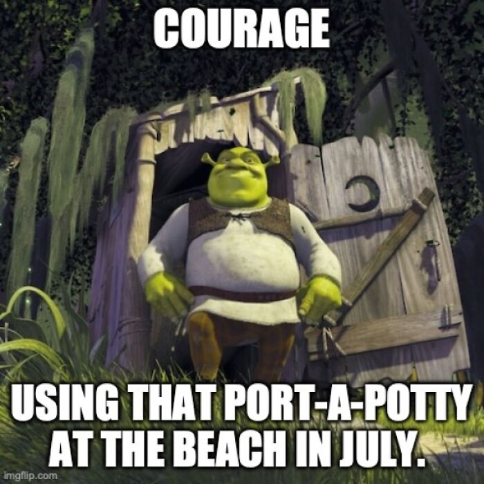 Shrek Kind Of Brave