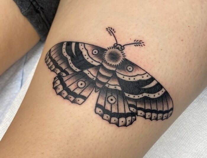 American traditional moth tattoo