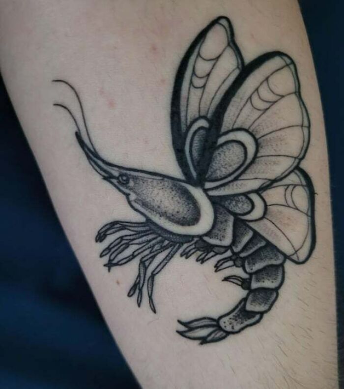 Butterfly Shrimp arm Tattoo