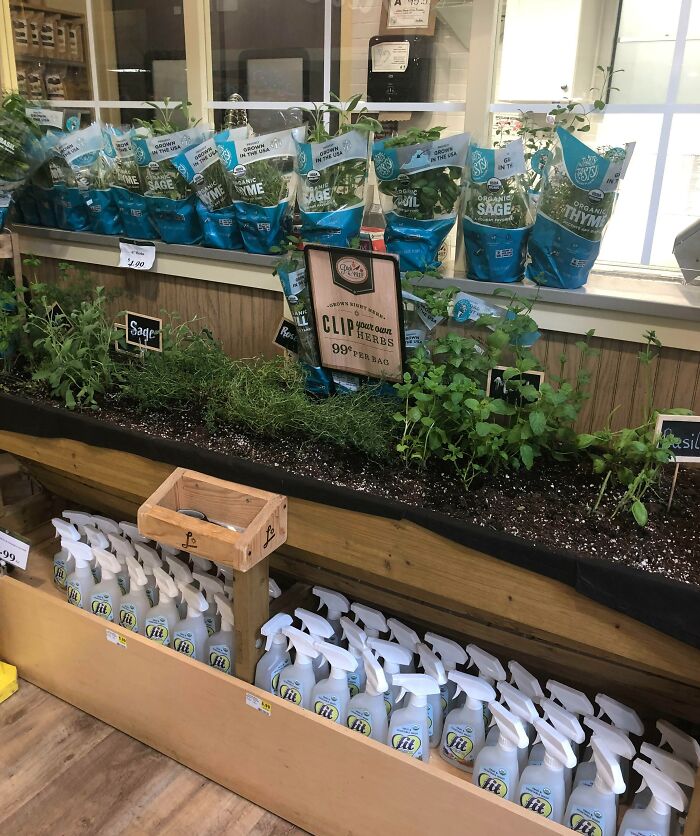 Garden In A Grocery Store Where You Can Clip What You Need