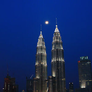 mariskabezuidenhout_1 avatar