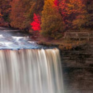 thomasanderson_2 avatar