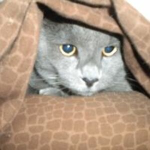 jonathandrew78 avatar