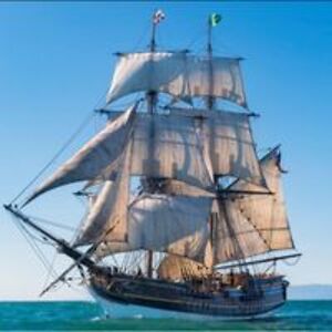 phoenixcobain80 avatar