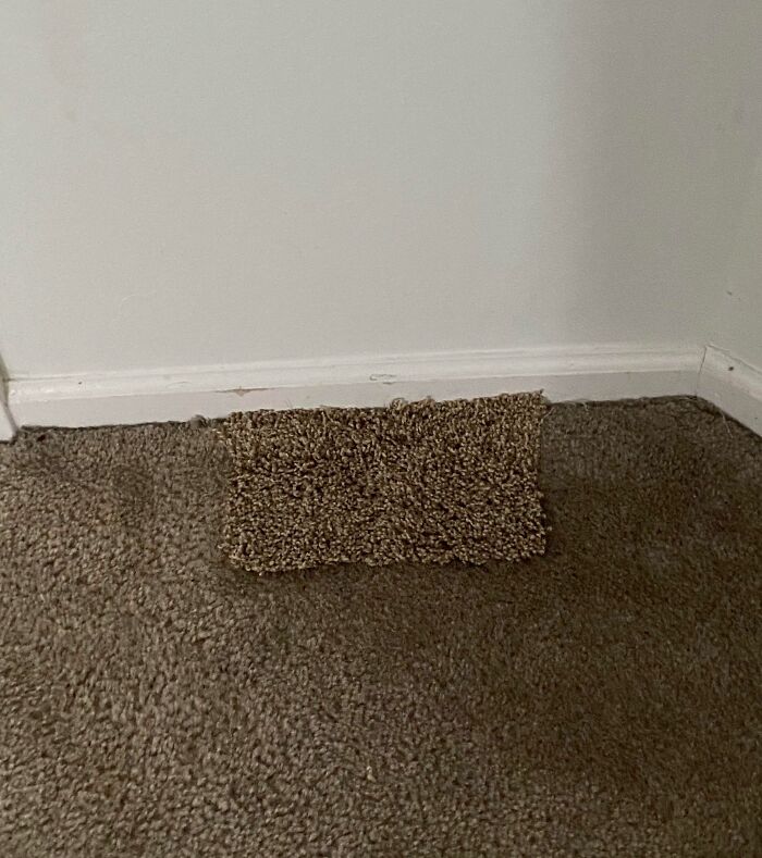 Just Moved Into A New Home And Found Where The Landlord Patched The Carpet