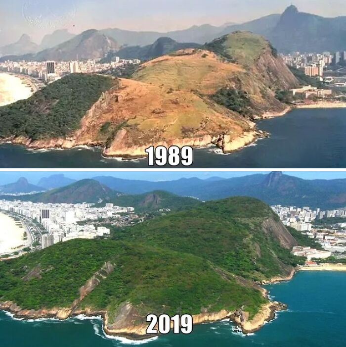Rio De Janeiro y su reforestación
