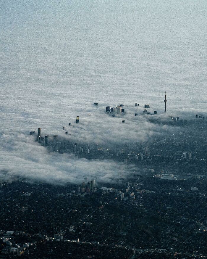 Niebla sobre Toronto