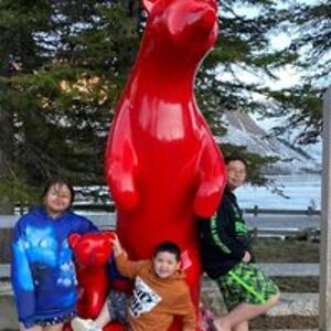 melissahendsbee avatar