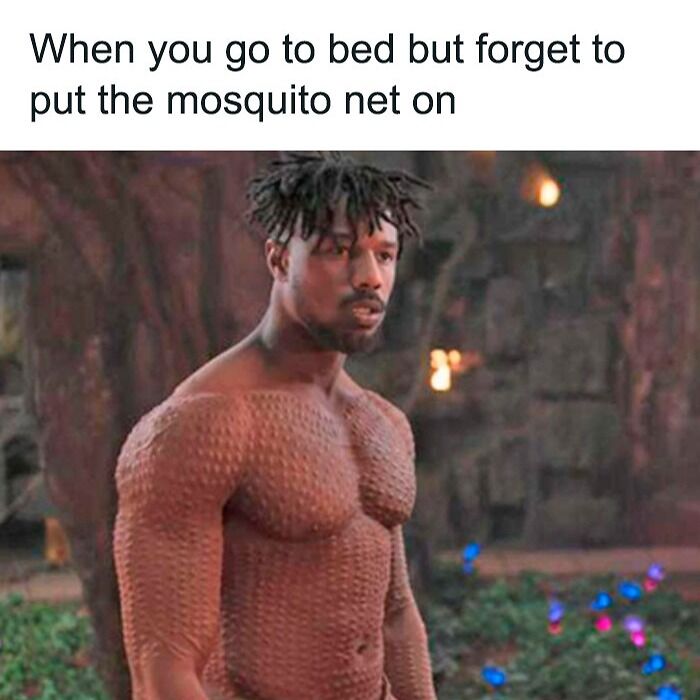 forgot to put the mosquito net on meme