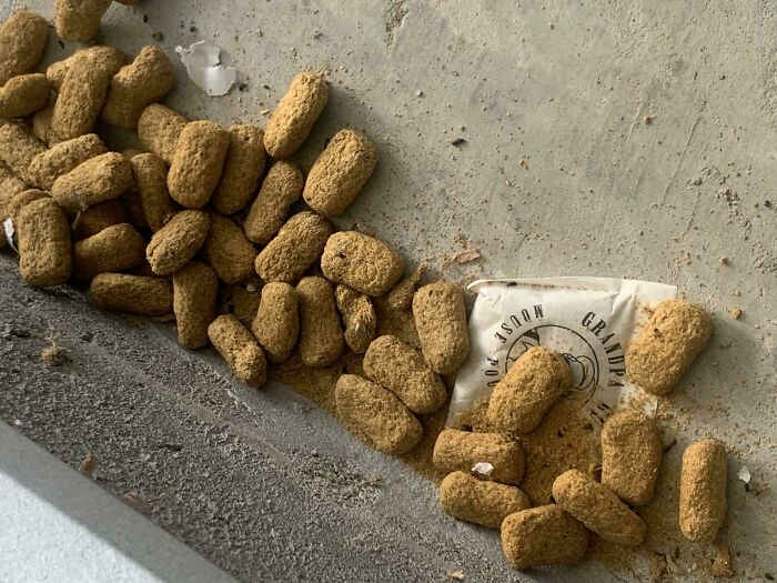 Pellets With A Powdery Substance Coating Them, Found On The Floor Of A Garage That Had Not Been Opened For A Few Months, Each Pellet A Bit Larger Than A Tater Tot