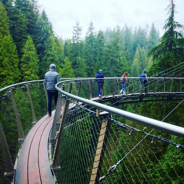 I'm Afraid Of Heights, But This Walk Through The Vancouver Treetops Was Actually Relaxing